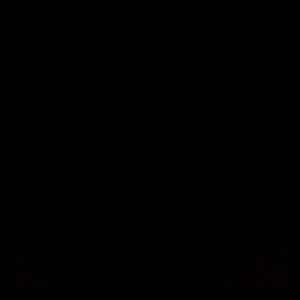 Meet your Posher, Val